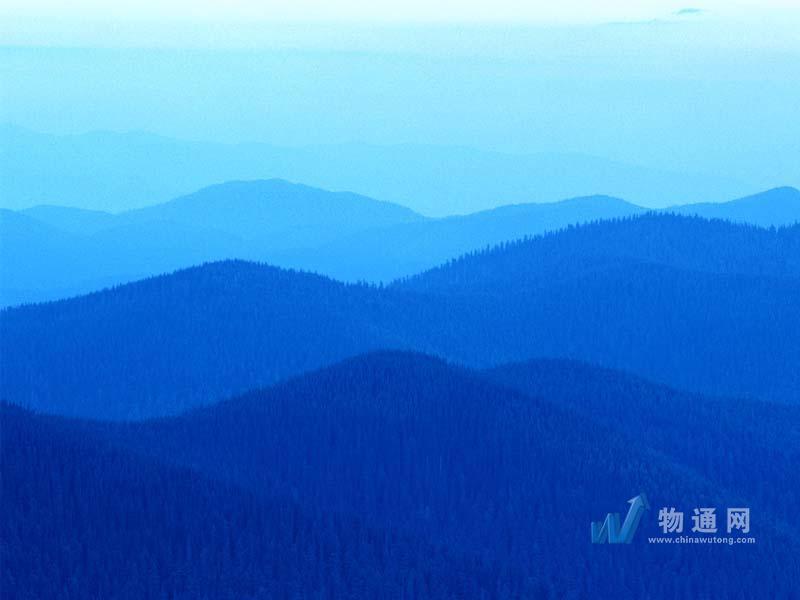 海英貨運信息部