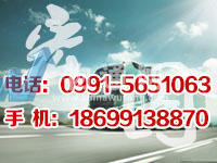 乌鲁木齐帝都宏图物流责任有限公司