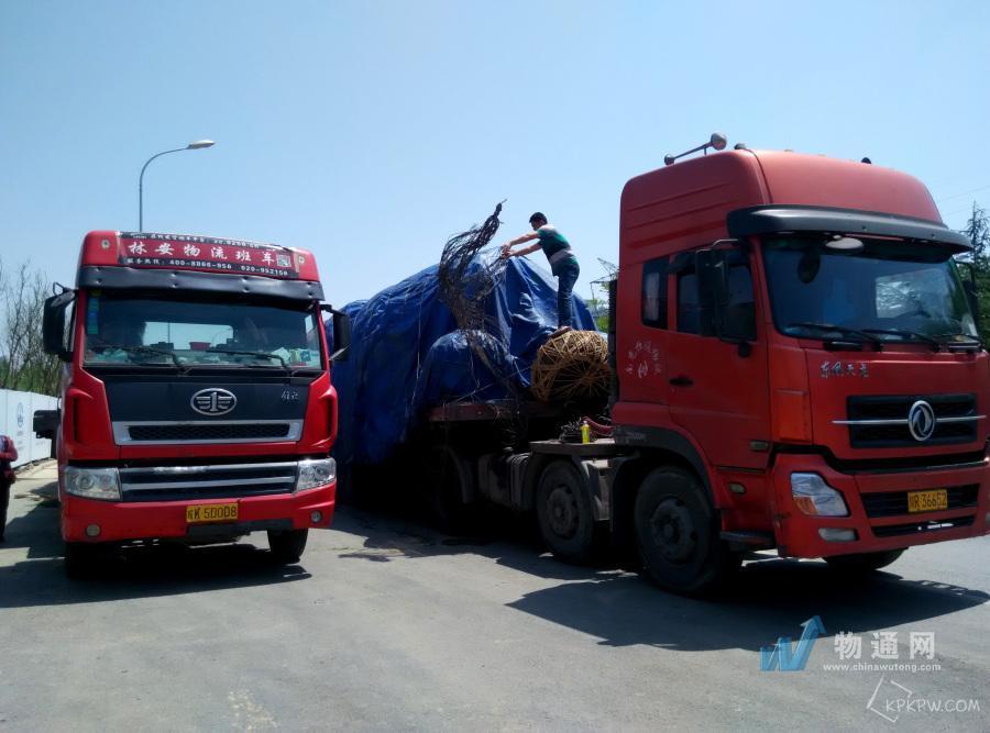 上海业林物流有限公司