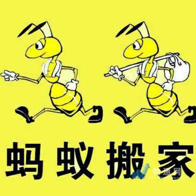 螞蟻搬家（廣州）有限公司