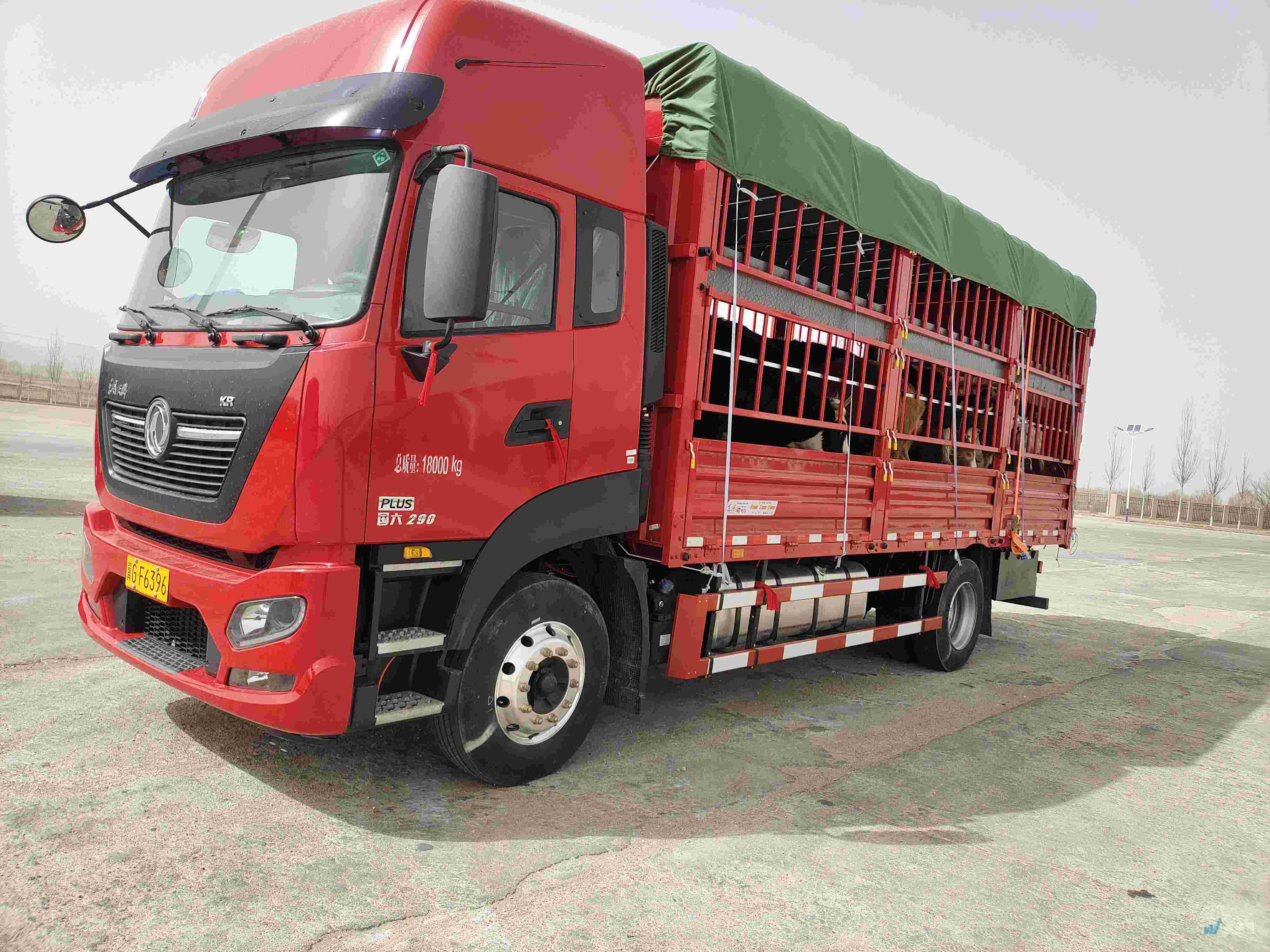 找张家口高栏车的大货车拉货_张家口高栏车出租-物通网